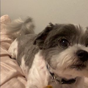 Meet your Posher, Jaden